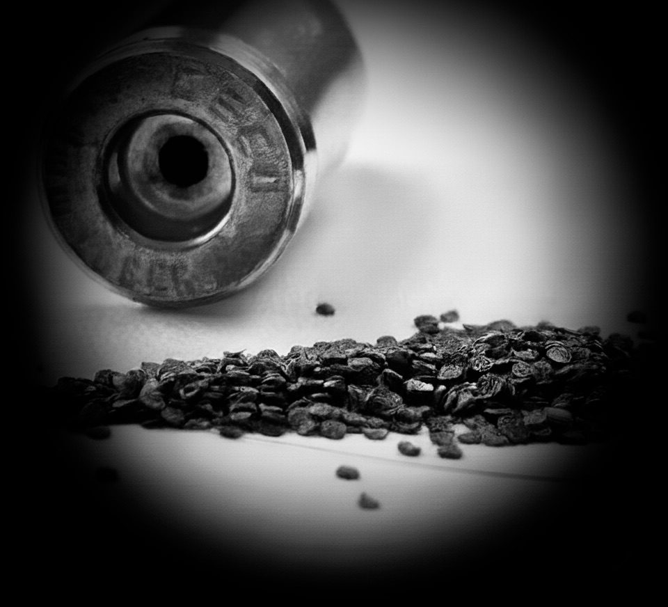 Wer seine Munition auf Herz und Nieren überprüfen will, kommt um einen Munitionsvergleich nicht herum.