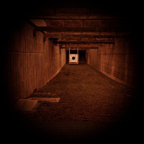 Präzisionsschießen zählt zu den beliebtesten Schießdisziplinen im DACH-Raum.