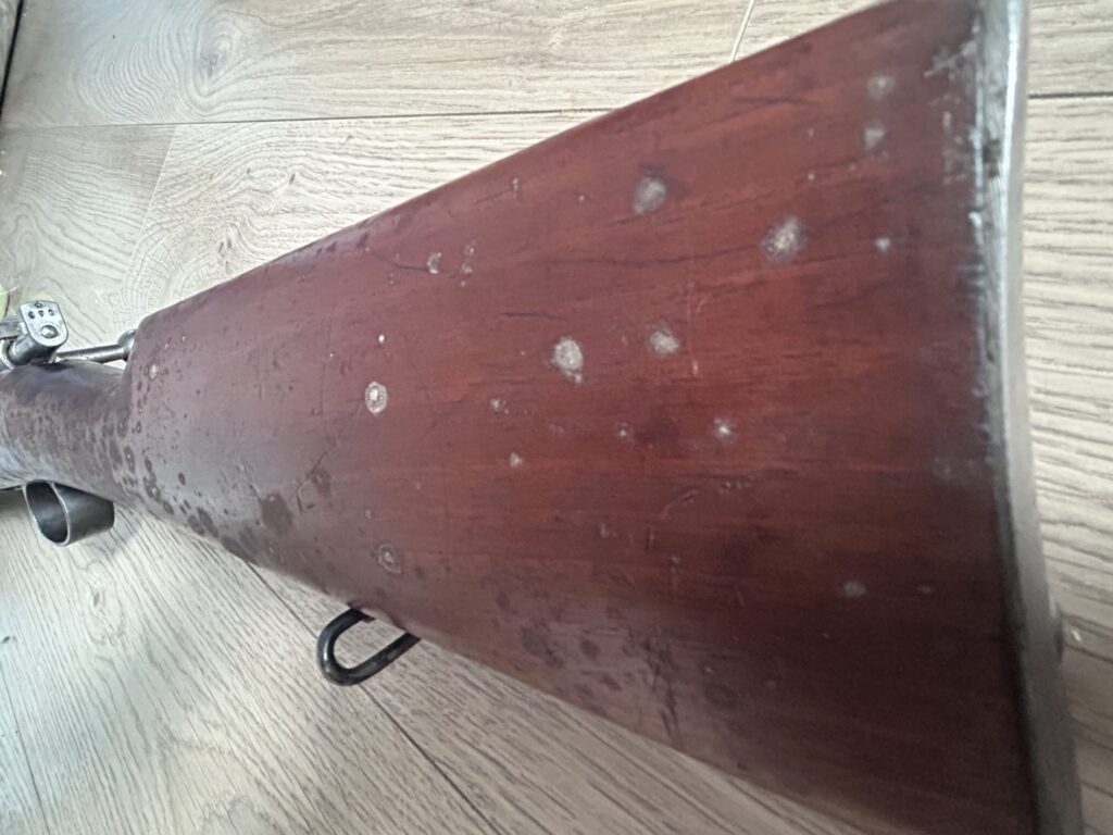 Waffe restaurieren: Schimmelbildung tritt wiederkehrend auf, wenn der Pilz im Holz nicht abgetötet wird.